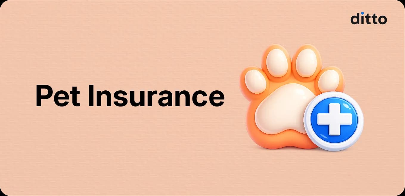 Pet Insurance in India: Coverage, Plans and Cost