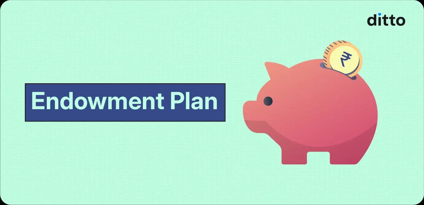 Endowment Plan in Life Insurance